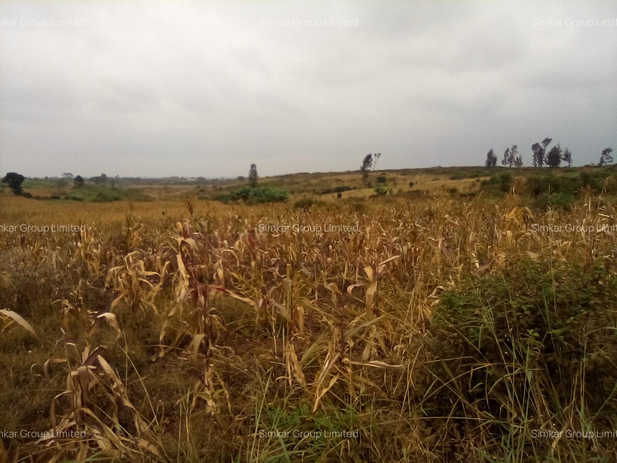 Land at Manira Trail - 13