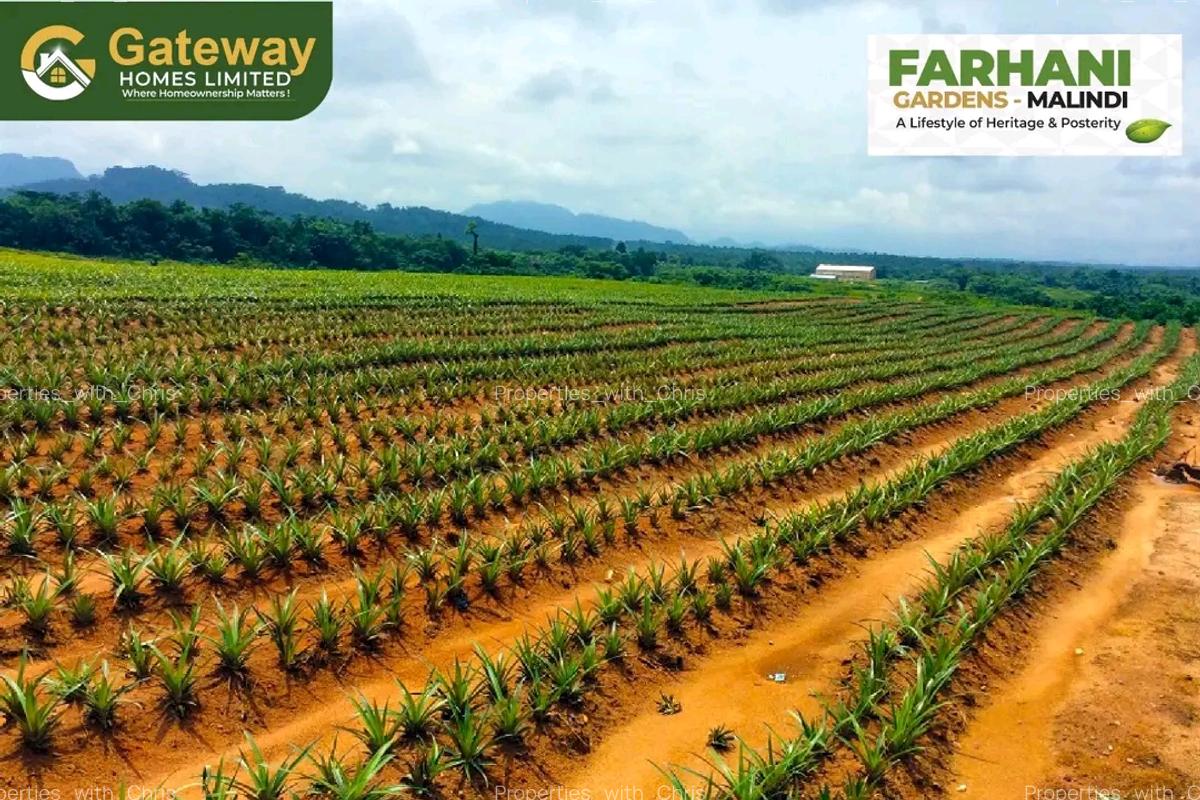 1 ac Land in Malindi - 3