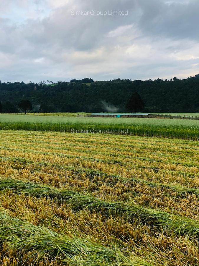 33 ac Land at Ol Kalou - 1