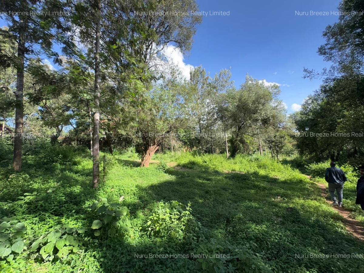 0.5 ac Land in Lake View - 4