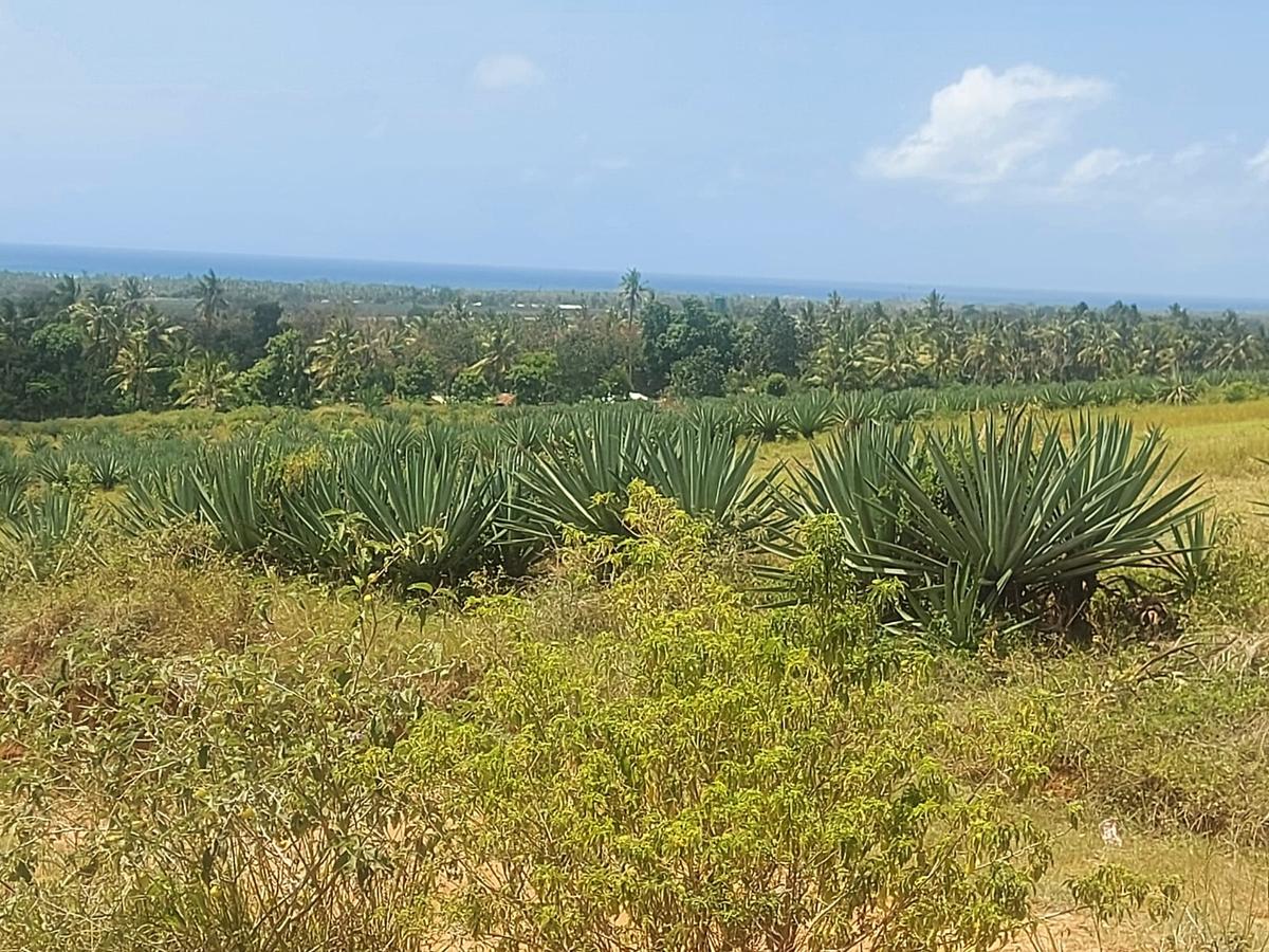 1 ac Land at Shariani - 12