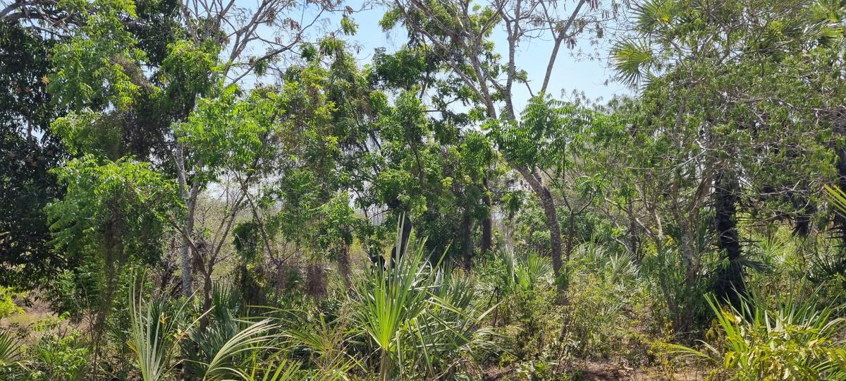 1 ac Land at Mtwapa Creekside - 8