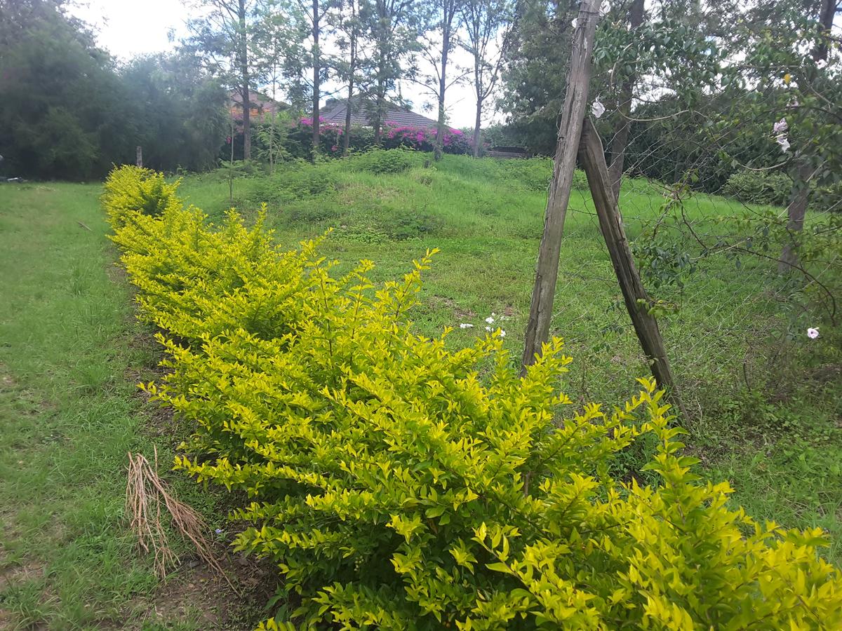 0.1 ha Residential Land in Ongata Rongai - 9