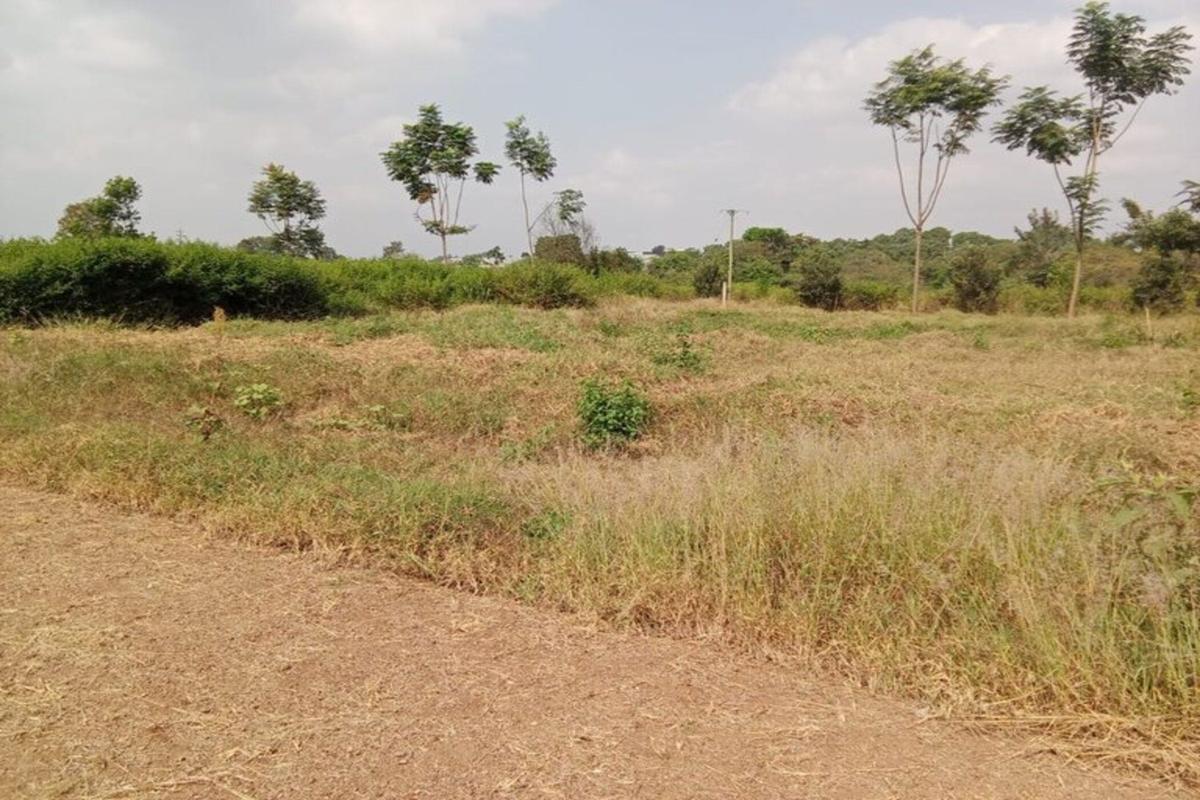 0.25 ac Residential Land in Thika - 2