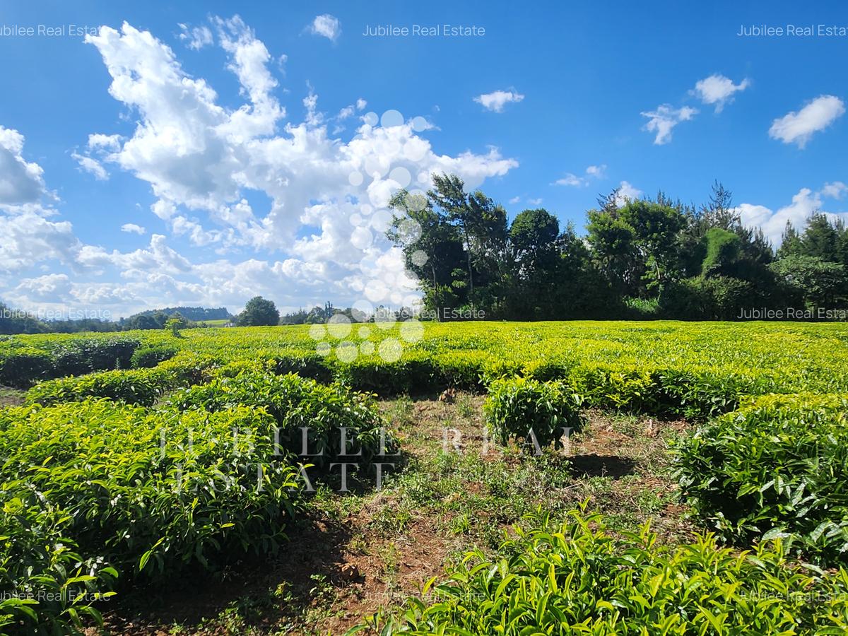 12 ac Land in Tigoni - 2