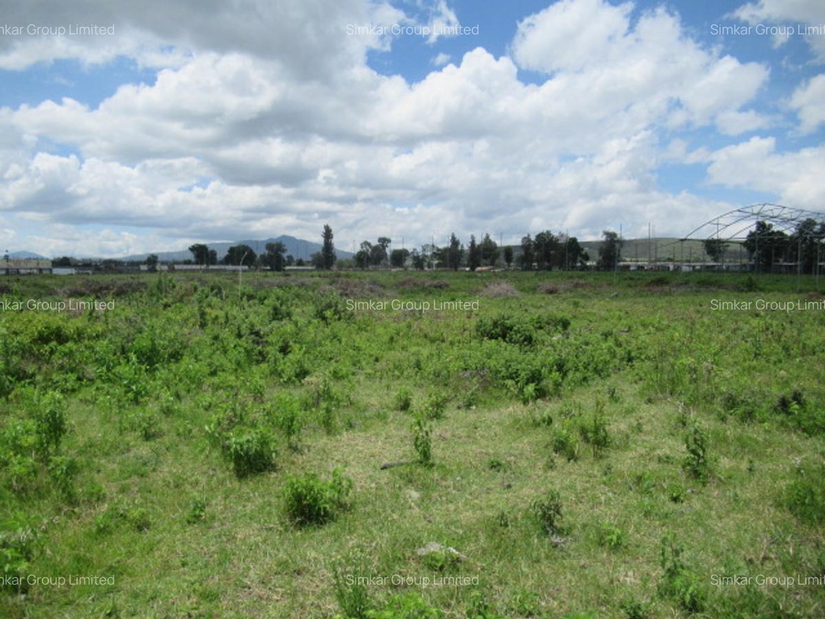 Land at Moi South L Ake Rd - 4