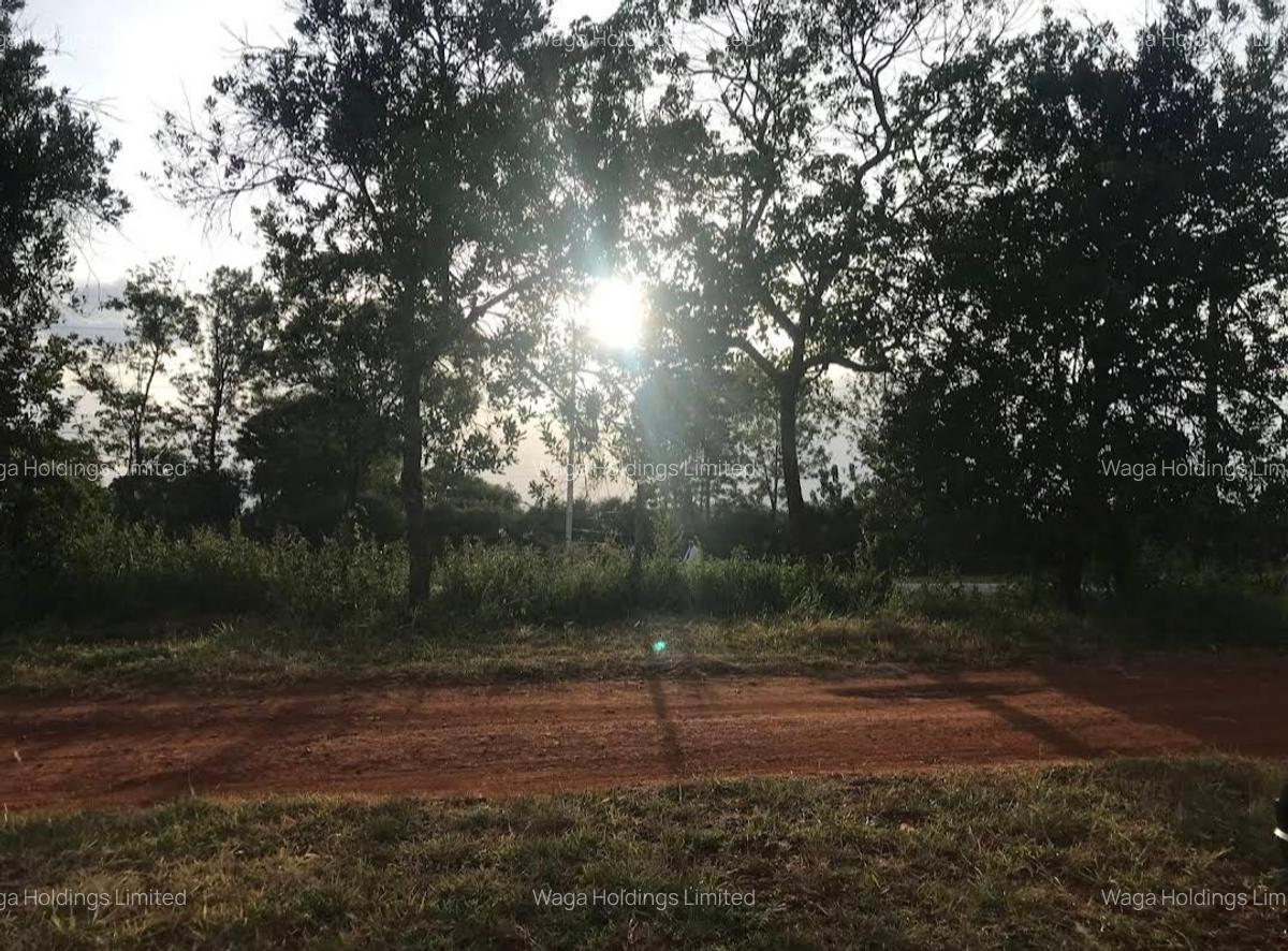 10,000 ft² Land at Phase 1 - 3