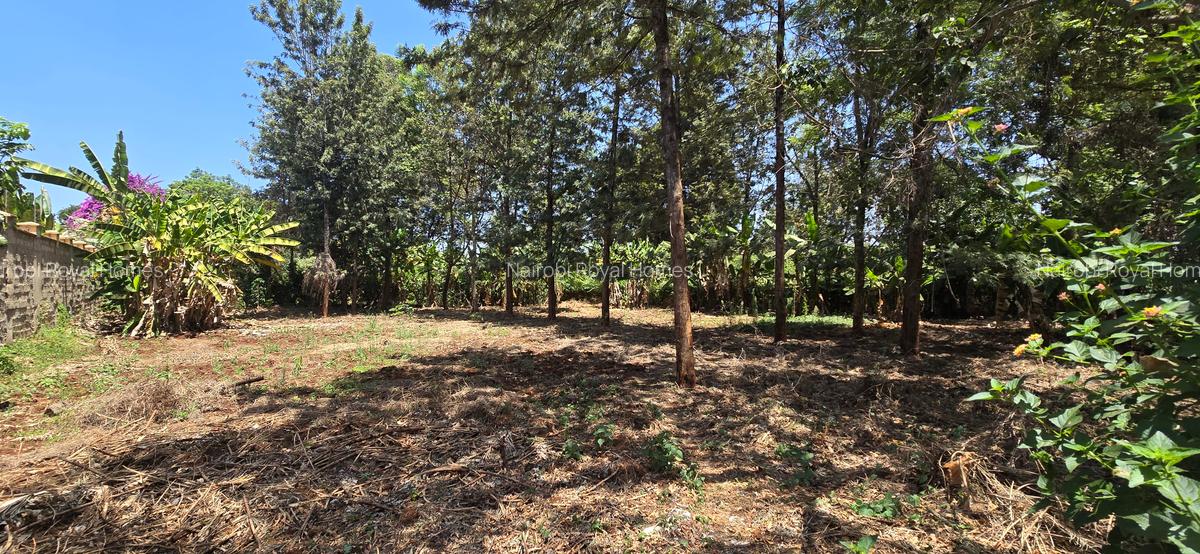 Residential Land at New Kitisuru - 2