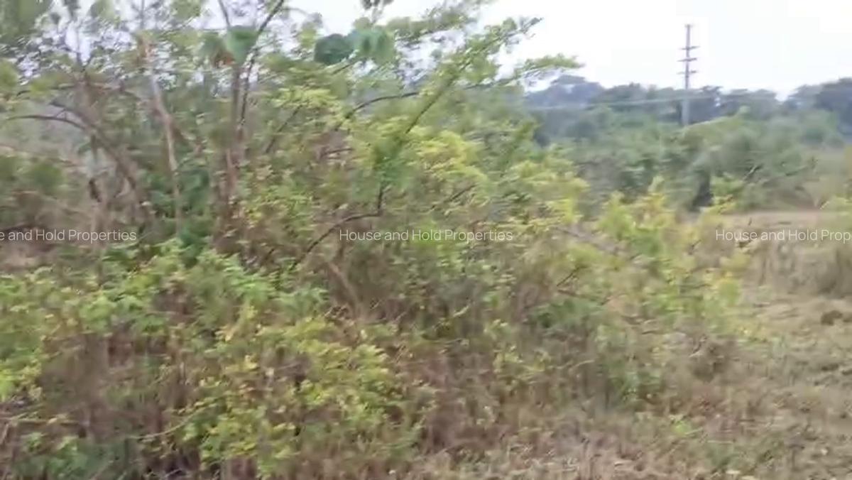 2.8 ha Commercial Land at Tiwi - 8