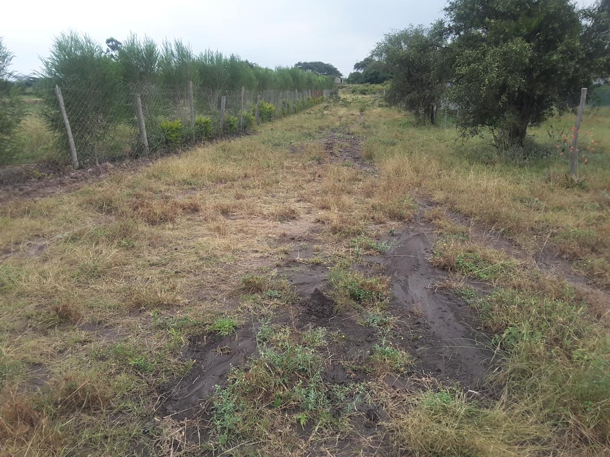 0.125 ac Residential Land in Ongata Rongai - 7