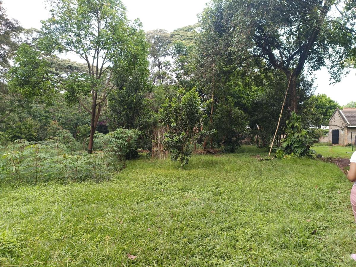 1 ac Land at Old Muthaiga Estate - 4