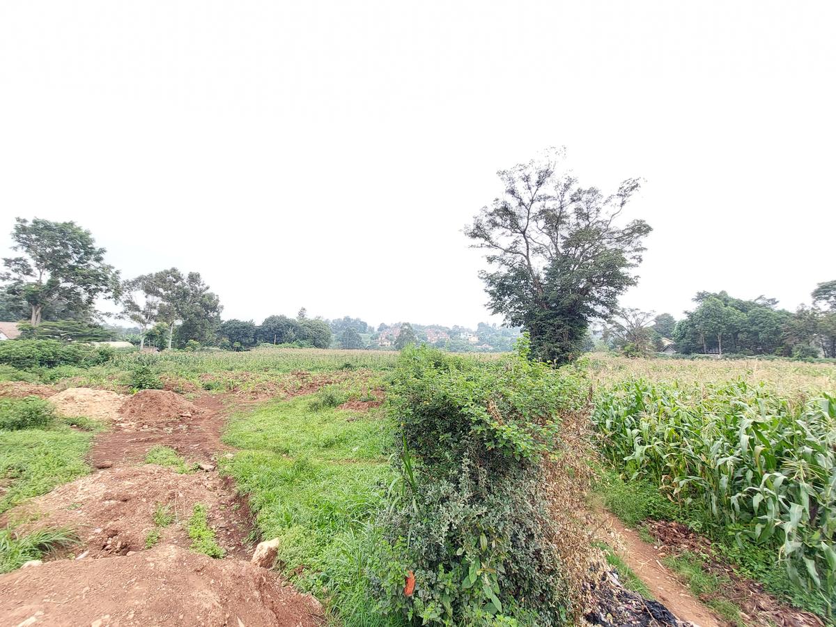 Residential Land at Kitisuru Ridge 44 - 8