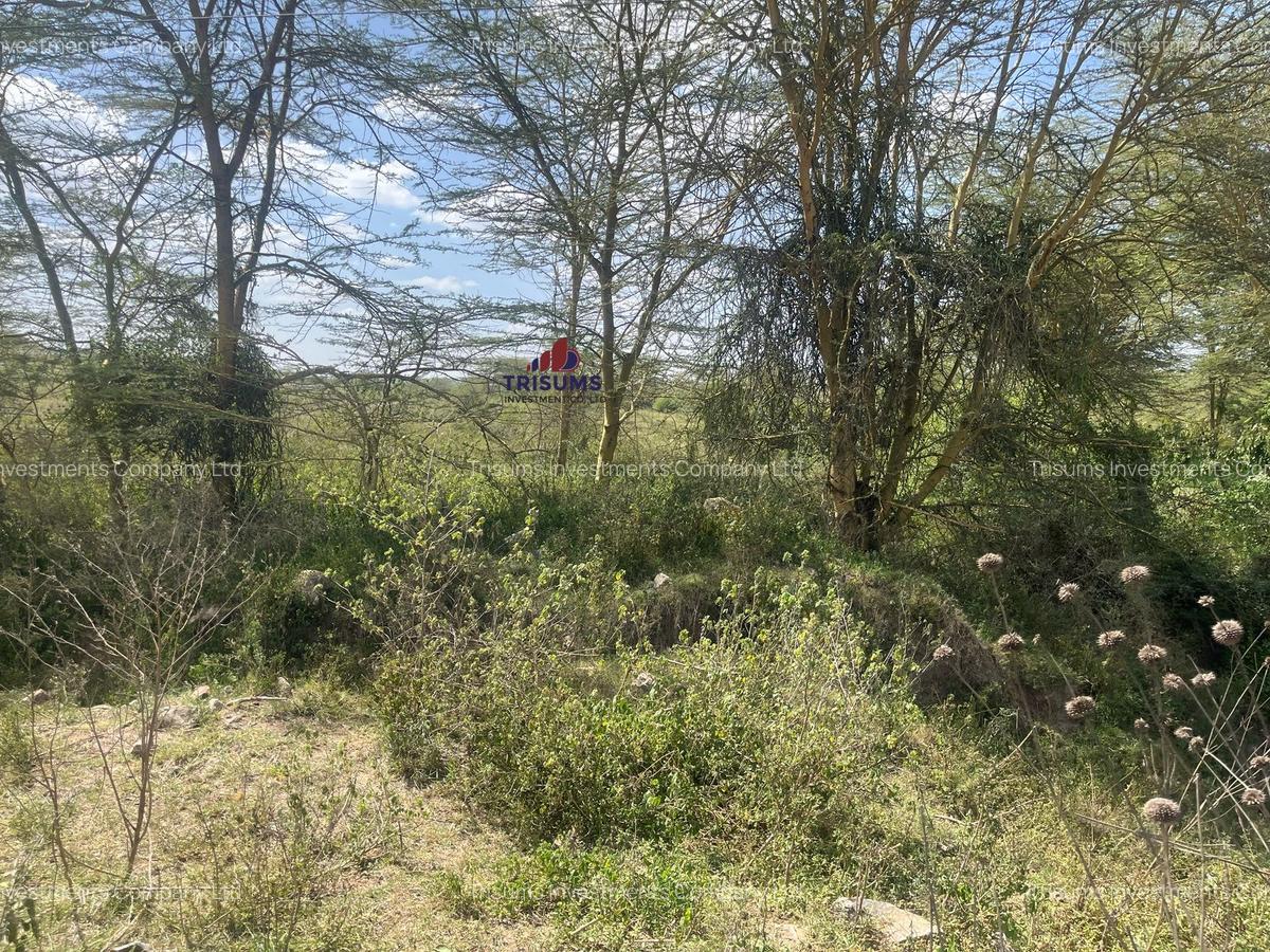 50 ac Land in Athi River - 4