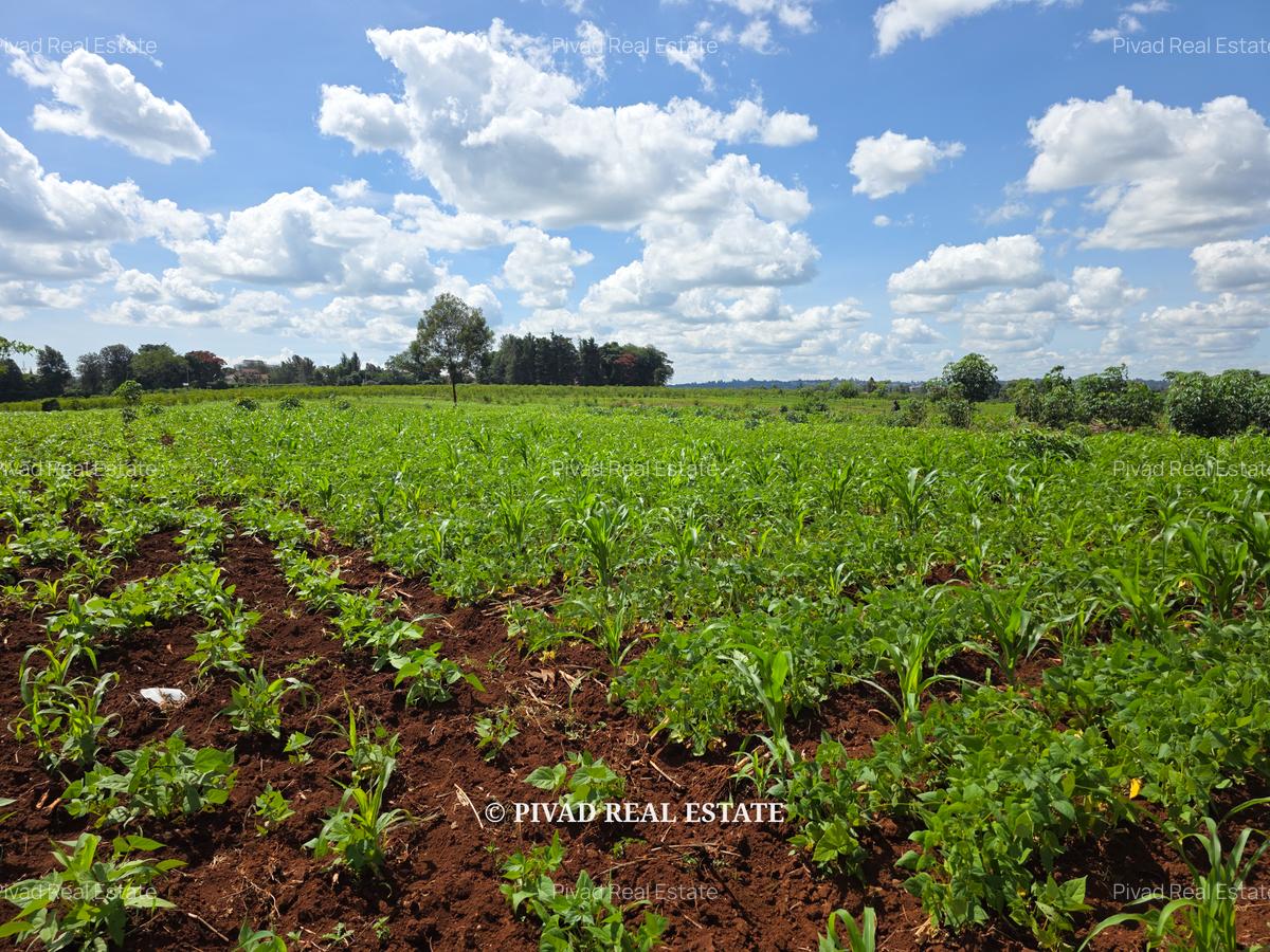 10 ac Land at New Kitisuru - 4