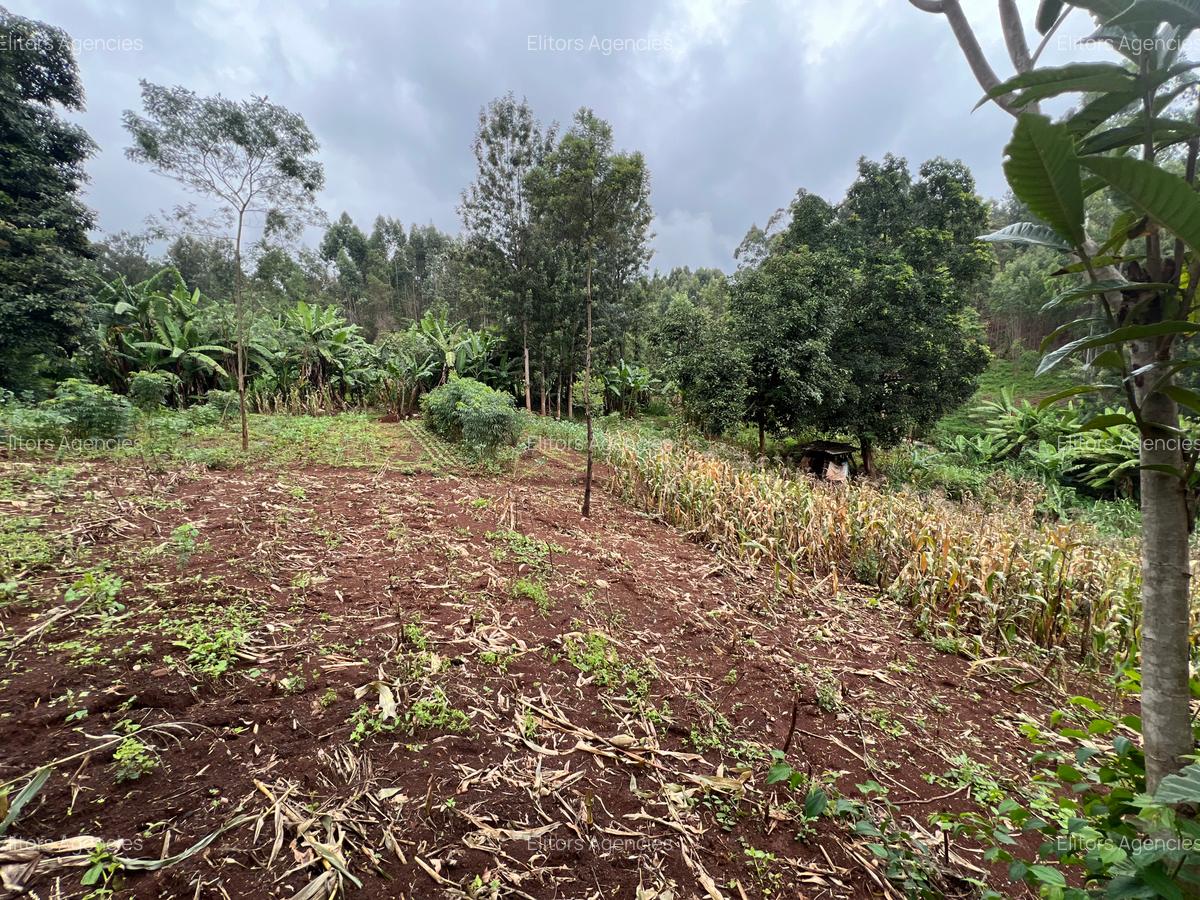 0.42 ac Residential Land at Kirawa Road - 11