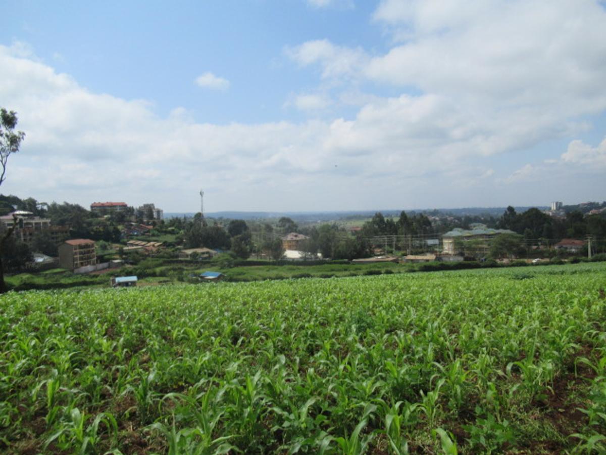 Land at Ngong Town - 11