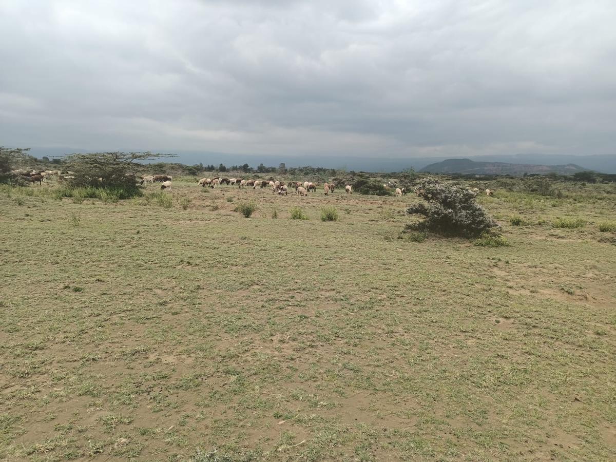 5 ac Land at Suswa - 2