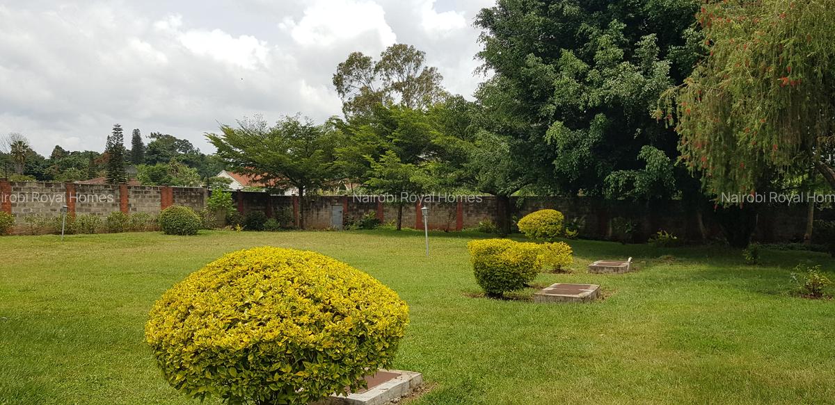 Commercial Property with Backup Generator at Muthangari Drive - 5