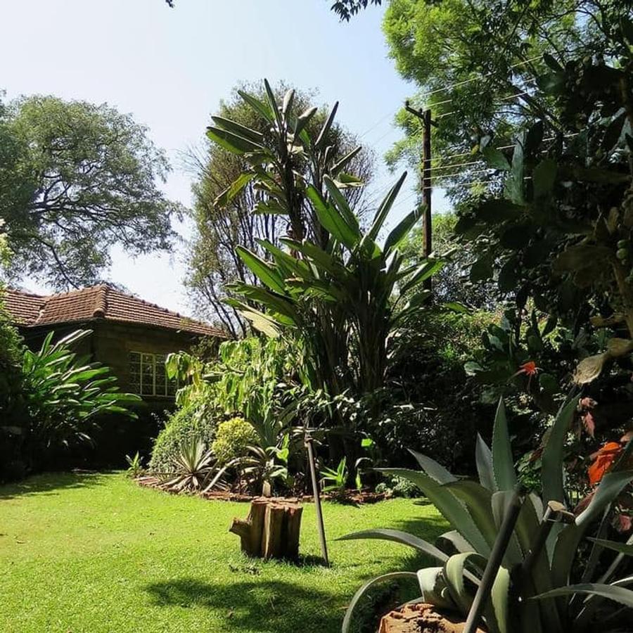 0.75 ac Land at Chalbi Drive - 5