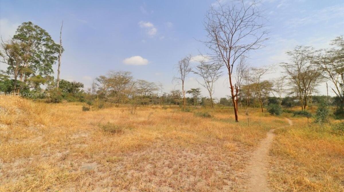 14.4 ac Land at Athi River - 1