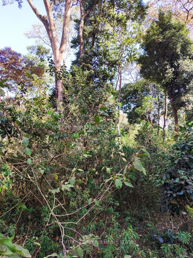 0.5 ac Land at Hardy - 17