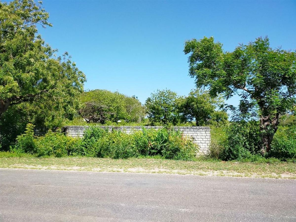 Residential Land in Vipingo - 10