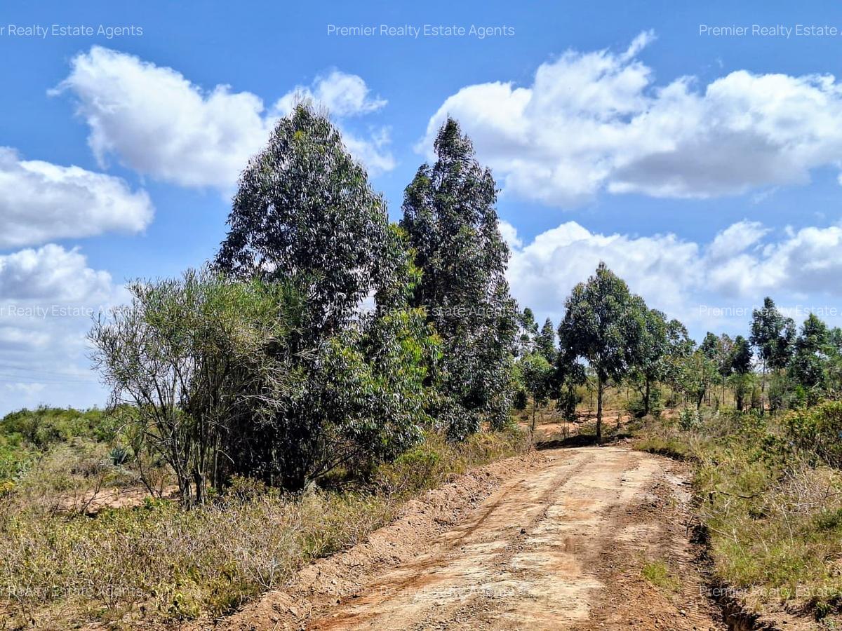 0.125 ac Residential Land at Kikuyu - 12