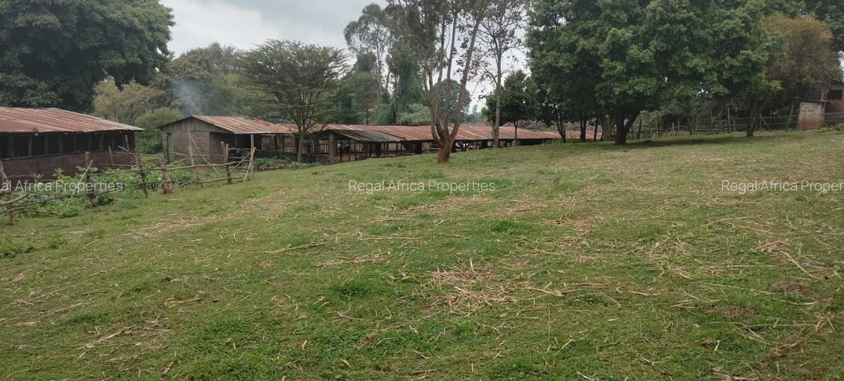 6 Bed House with En Suite in Tigoni - 4