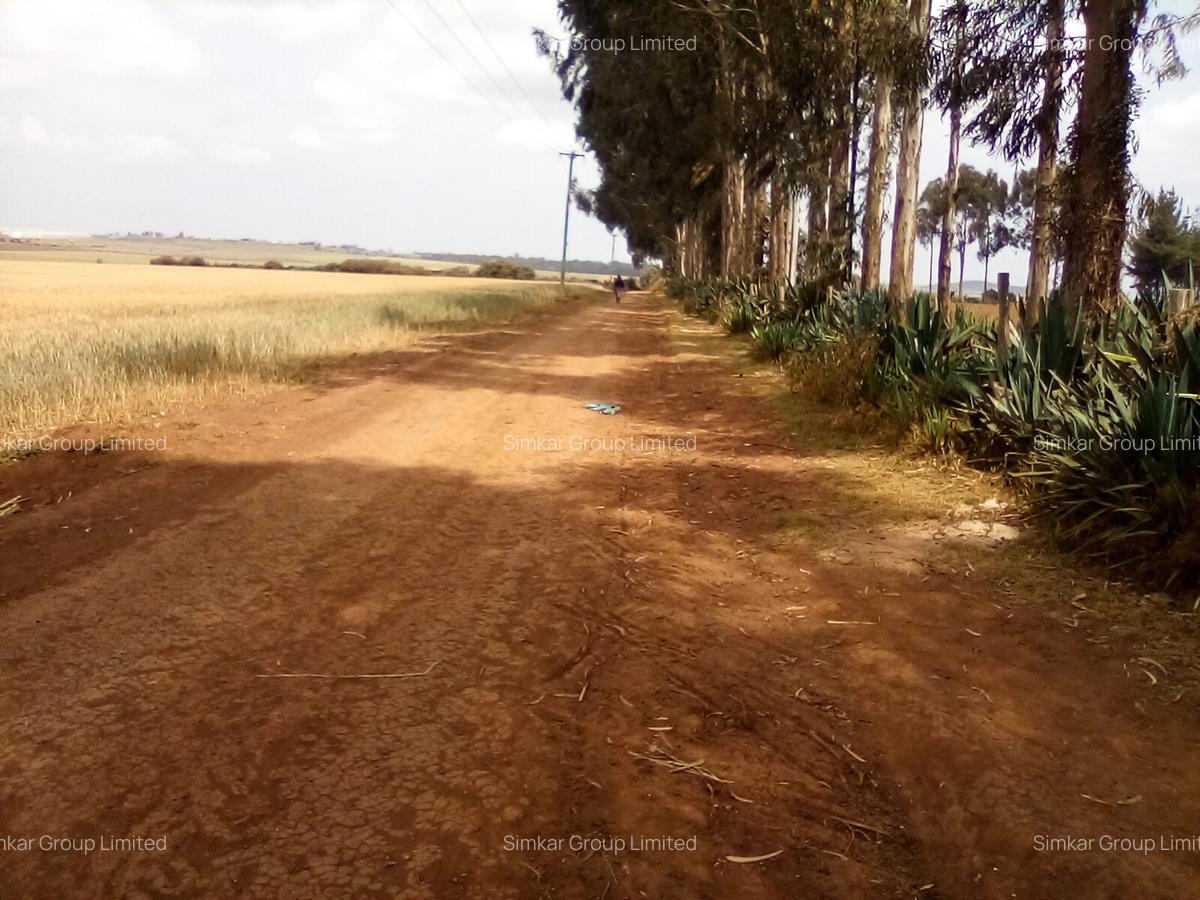 Land at Timau - 17