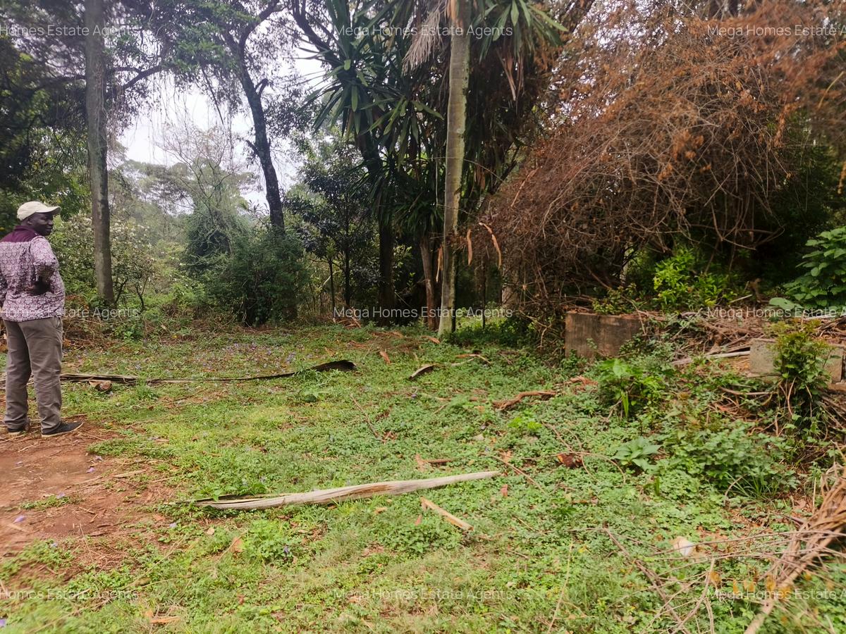 Residential Land in Kitisuru - 11