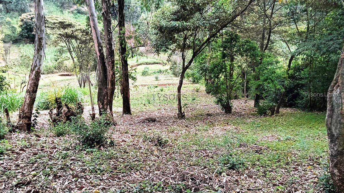 0.741 ac Land in Ruaka - 2