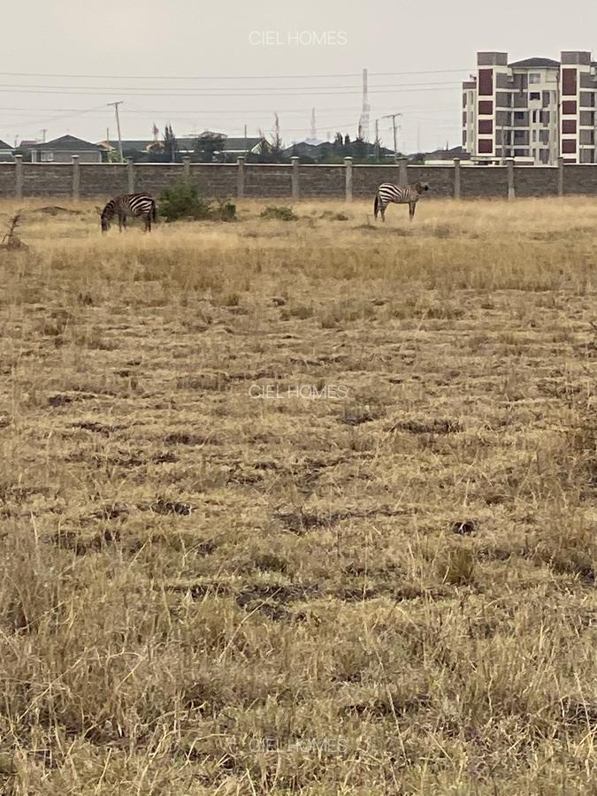 30 ac Land at Thika-Garissa Road - 7