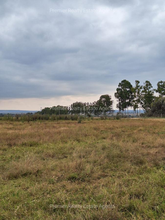 700 ac Land at Bisil - 1