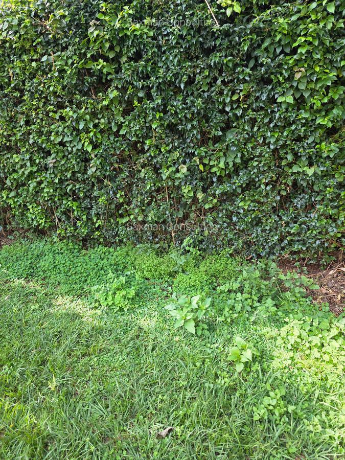 Residential Land in Ridgeways - 4