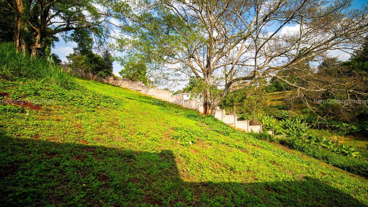 1.5 ac Land at Kinanda Road - 3