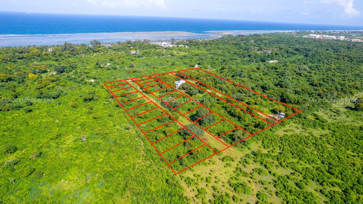 0.25 ac Land in Vipingo - 1