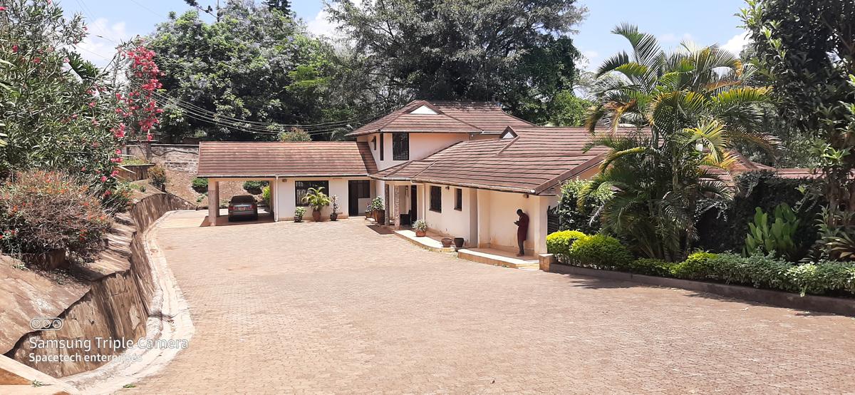 Commercial Property with Backup Generator in Lavington - 19