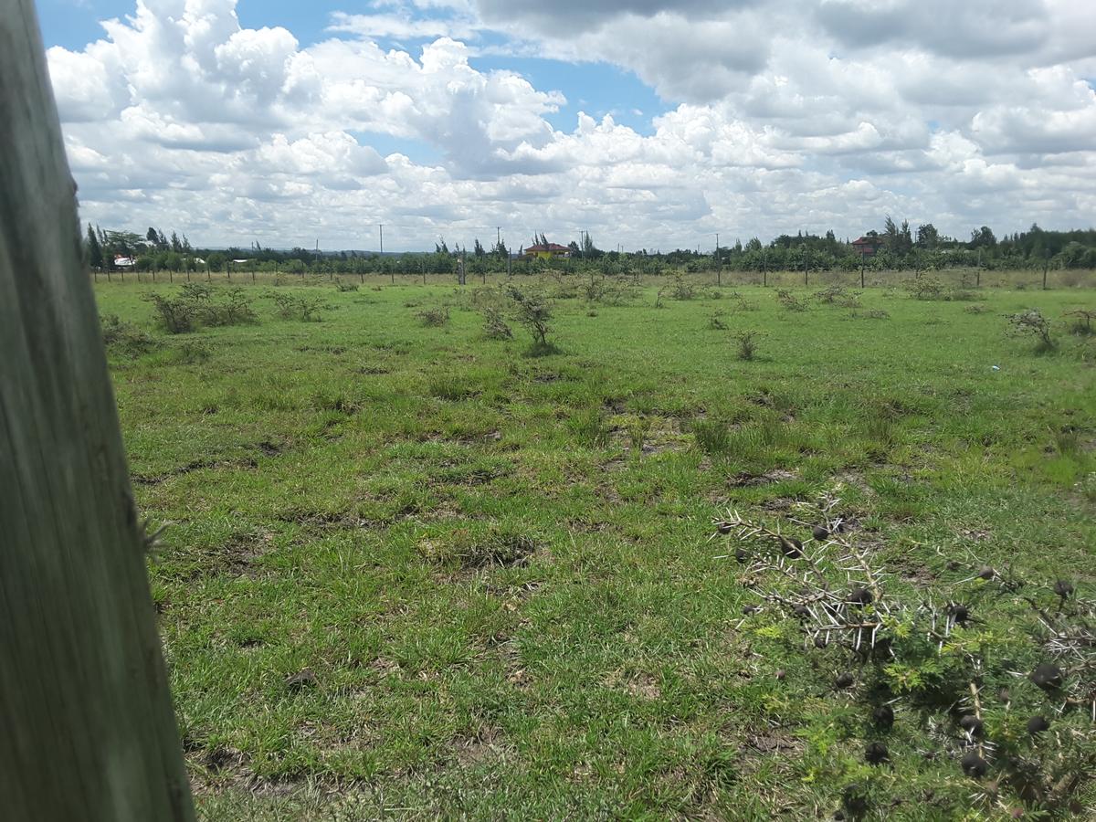 0.1 ha Residential Land in Ongata Rongai - 13