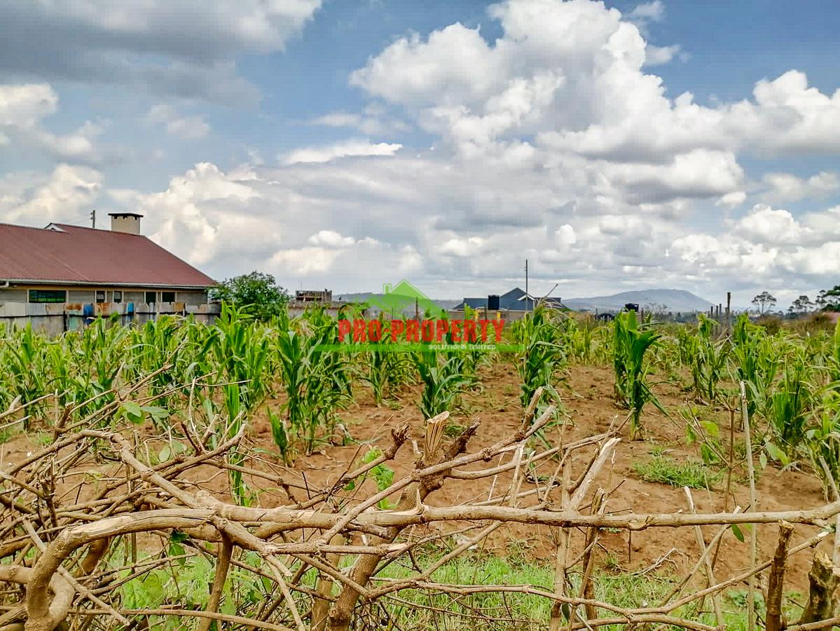 0.05 ha Residential Land at Kamangu - 5