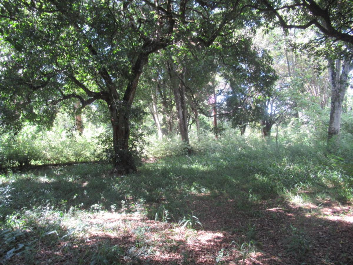 Residential Land at Mwitu Estate - 12