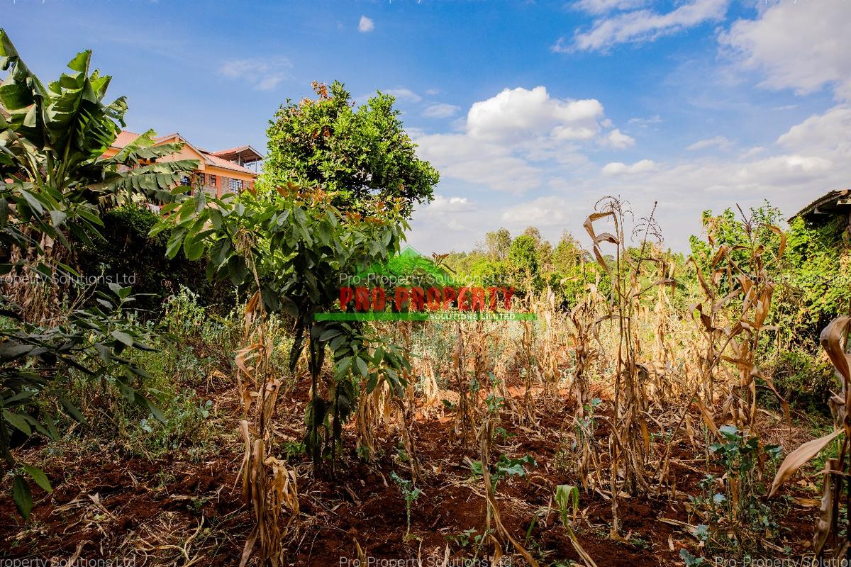 0.05 ha Commercial Land in Kikuyu Town - 7