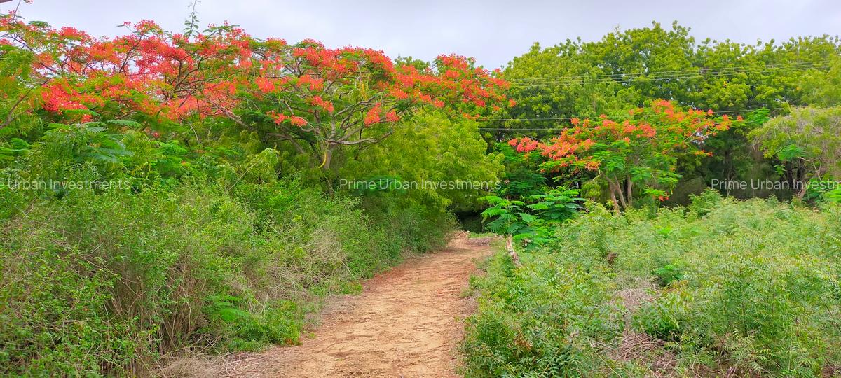 20 ac Land in Vipingo - 10