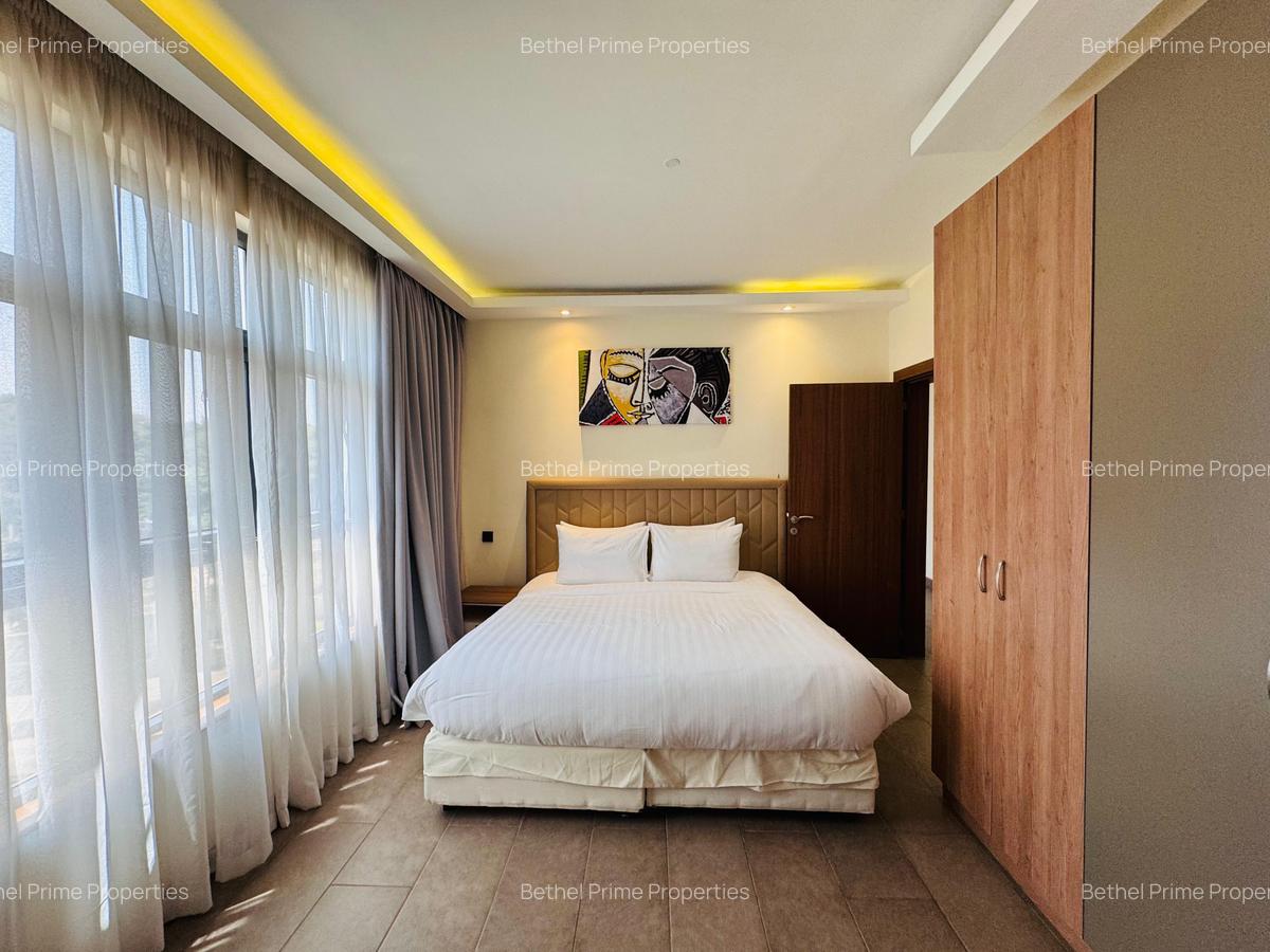 Furnished 1 Bed Apartment with En Suite in Spring Valley - 6