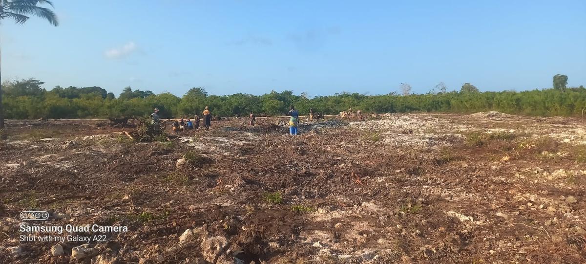 0.05 ha Land at Baharini Gardens - 13