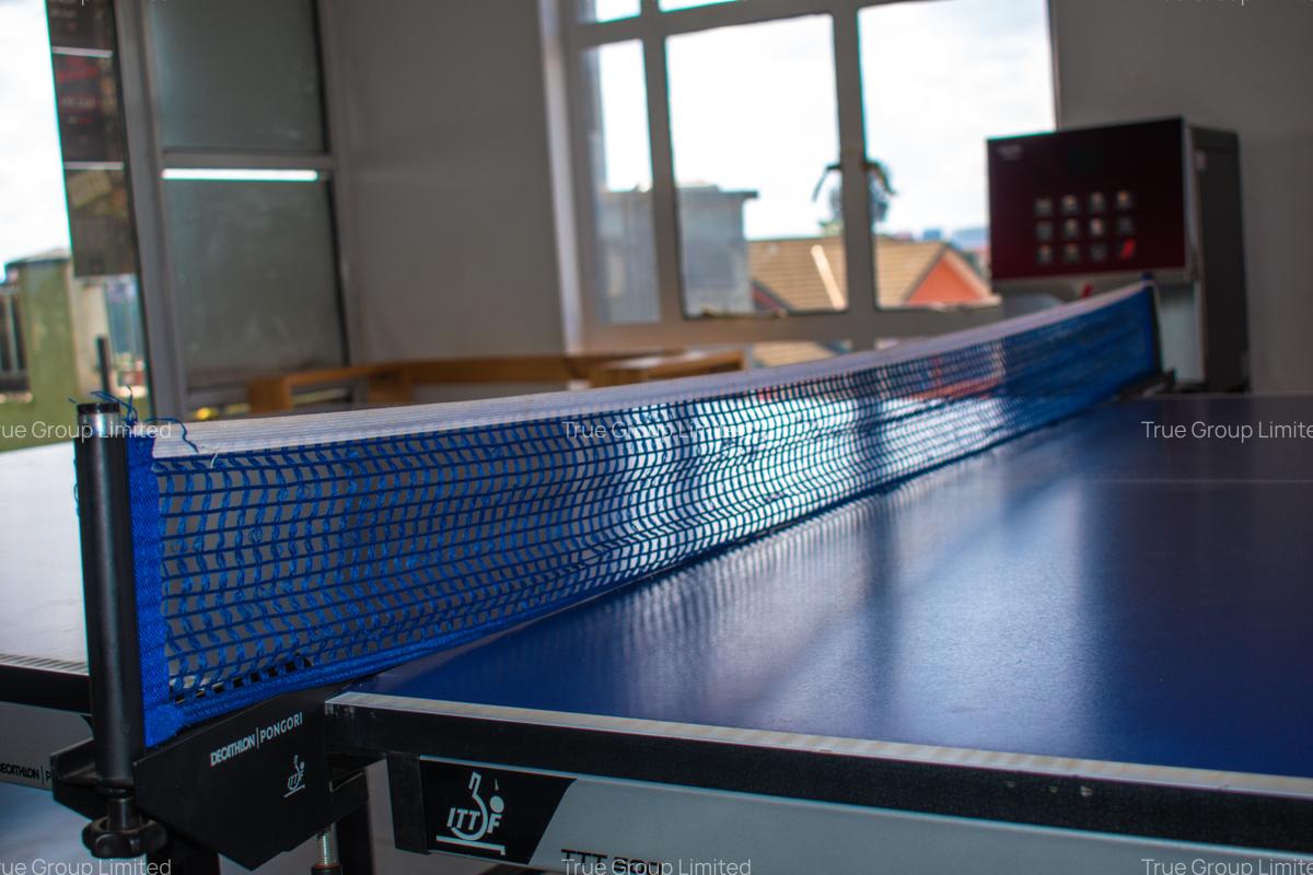 Serviced Studio Apartment with Gym at Off Naivasha Road - 13