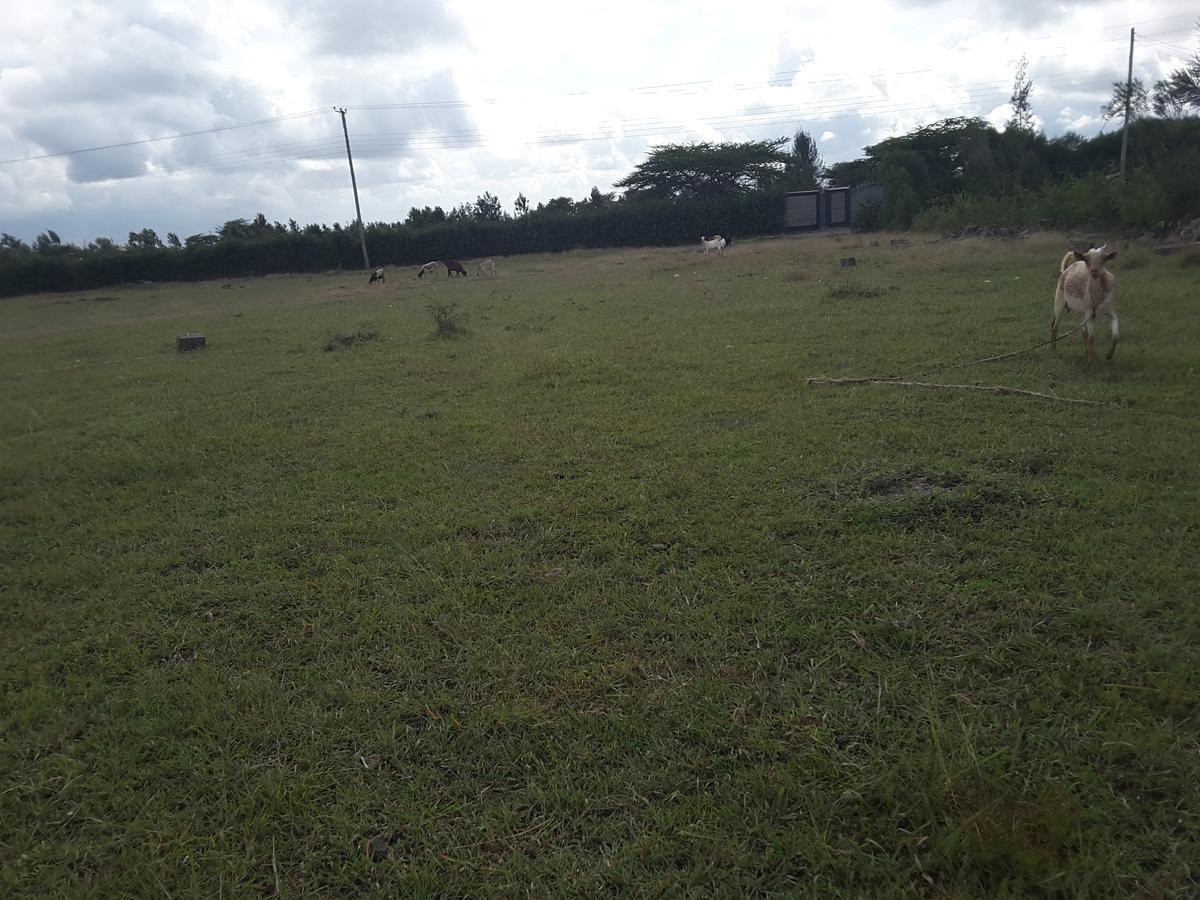 1 ac Residential Land in Ongata Rongai - 10