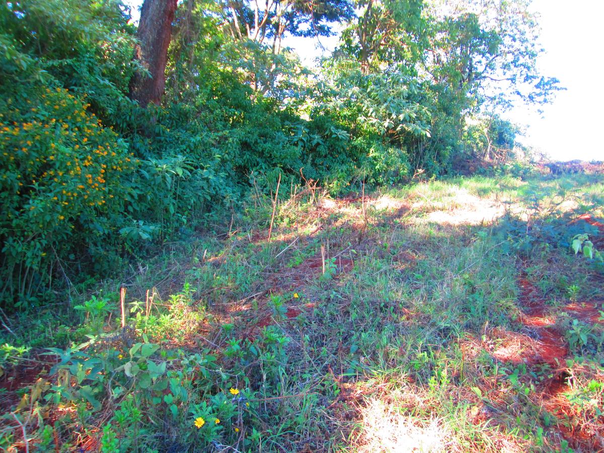 0.25 ac Residential Land at St. Julian Ack Center - 7