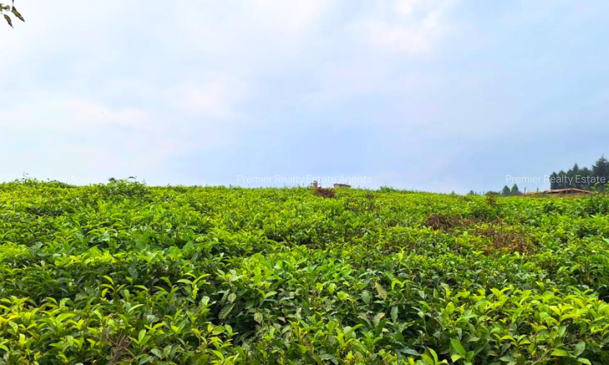 20 ac Residential Land at Riara Ridge - 1