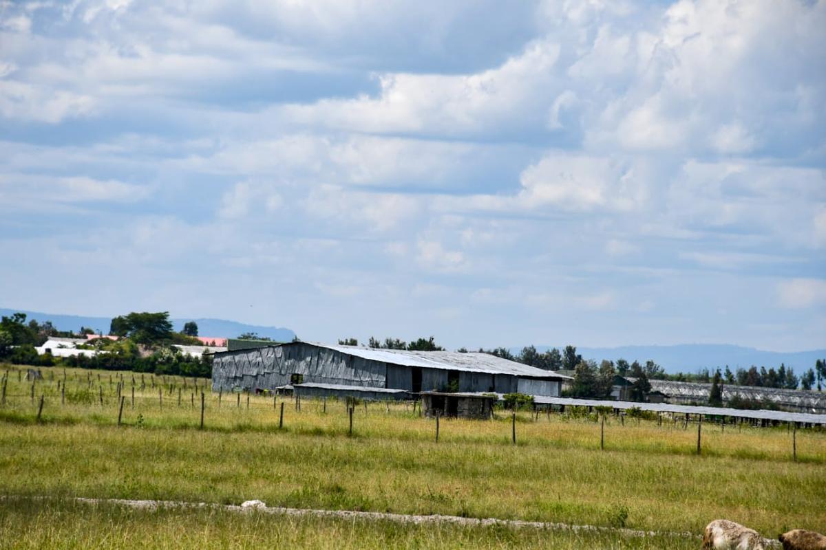 0.05234 ha Land at Kisaju - 4