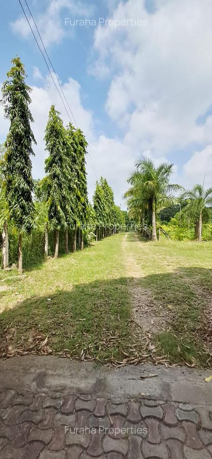 3 Bed House in Mtwapa - 14